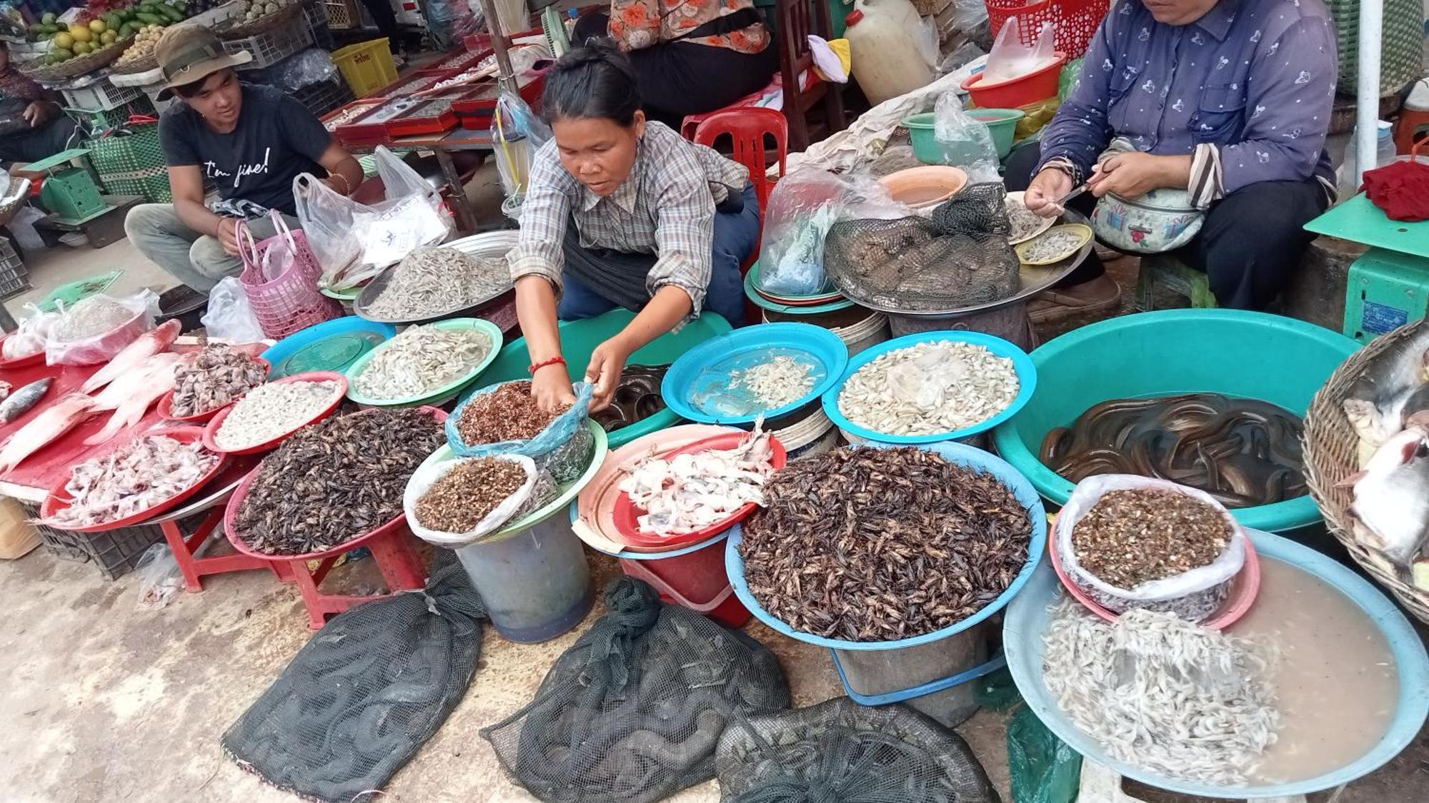 Kakrona Pouk Homestay Siem Reap Zewnętrze zdjęcie
