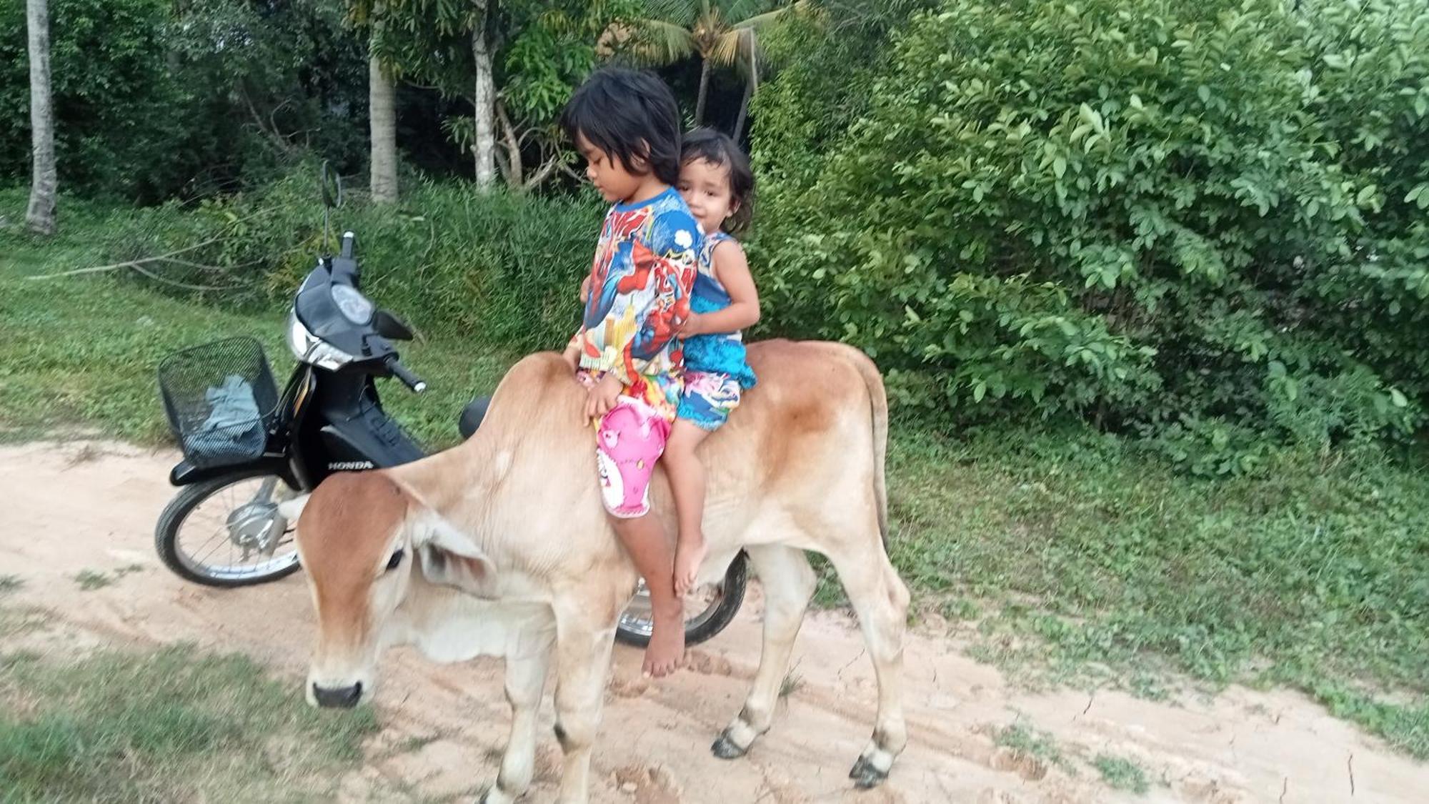 Kakrona Pouk Homestay Siem Reap Zewnętrze zdjęcie
